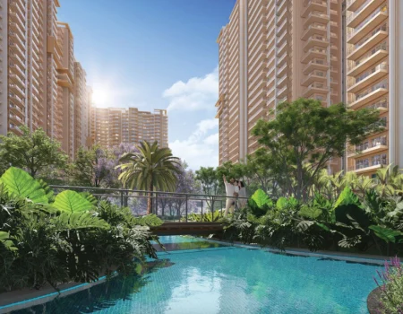 ivory county swimming pool view